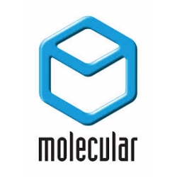Molecular